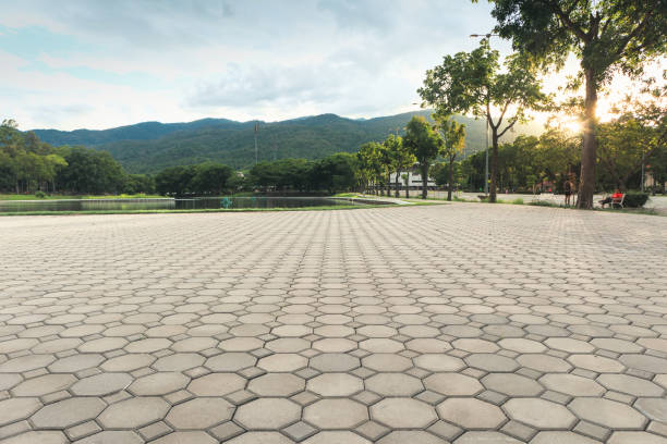 Best Custom Driveway Pavers  in Tanque Verde, AZ
